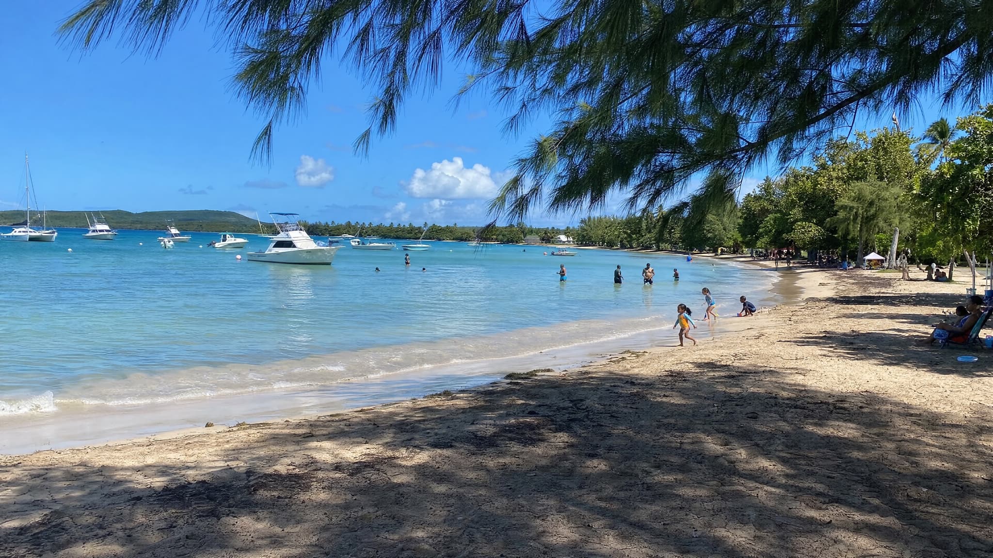 Seven Seas Beach, a calm crescent bay in Fajardo used as a base for boat tours