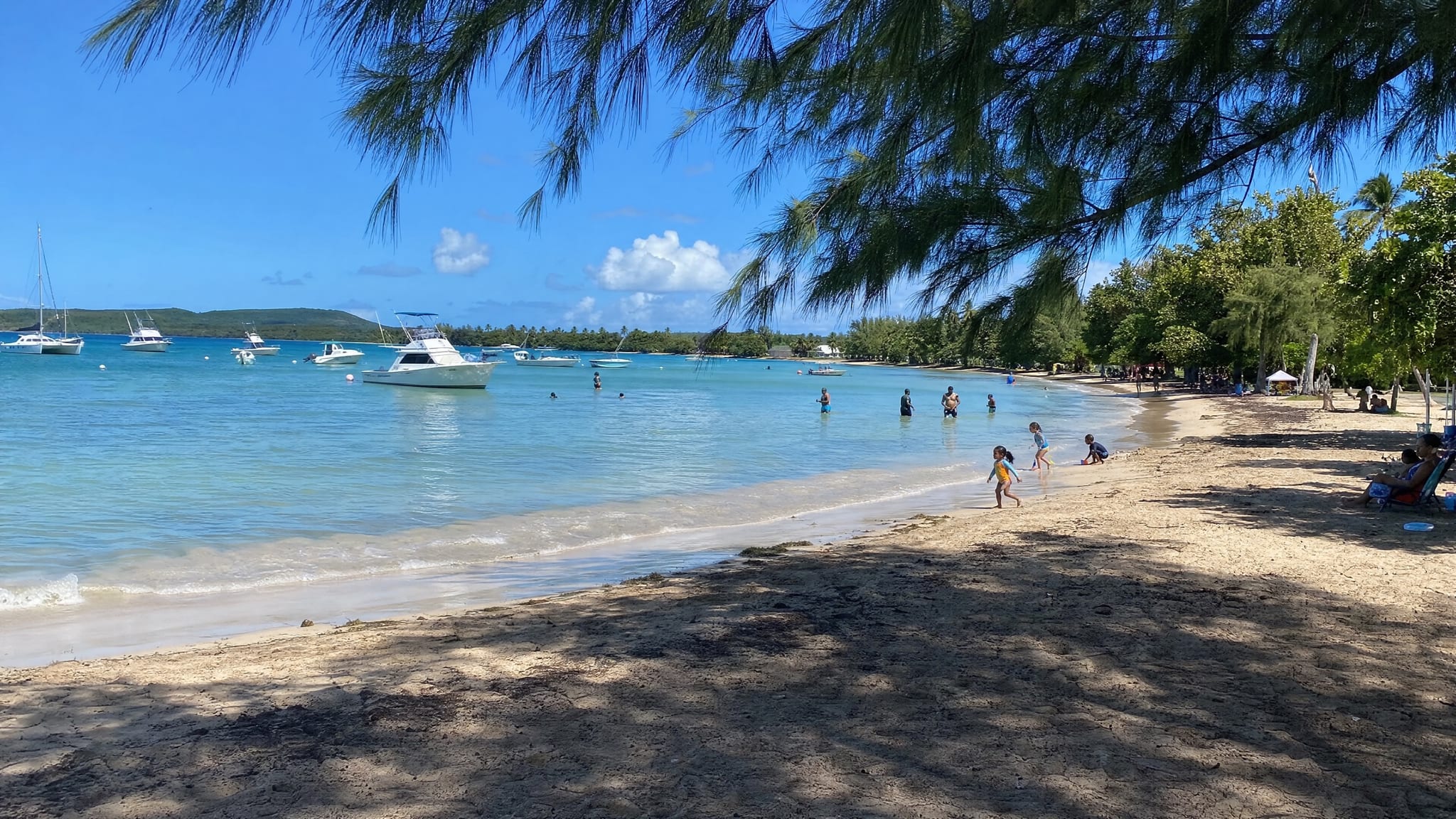 Seven Seas Beach, a calm crescent bay in Fajardo used as a base for boat tours