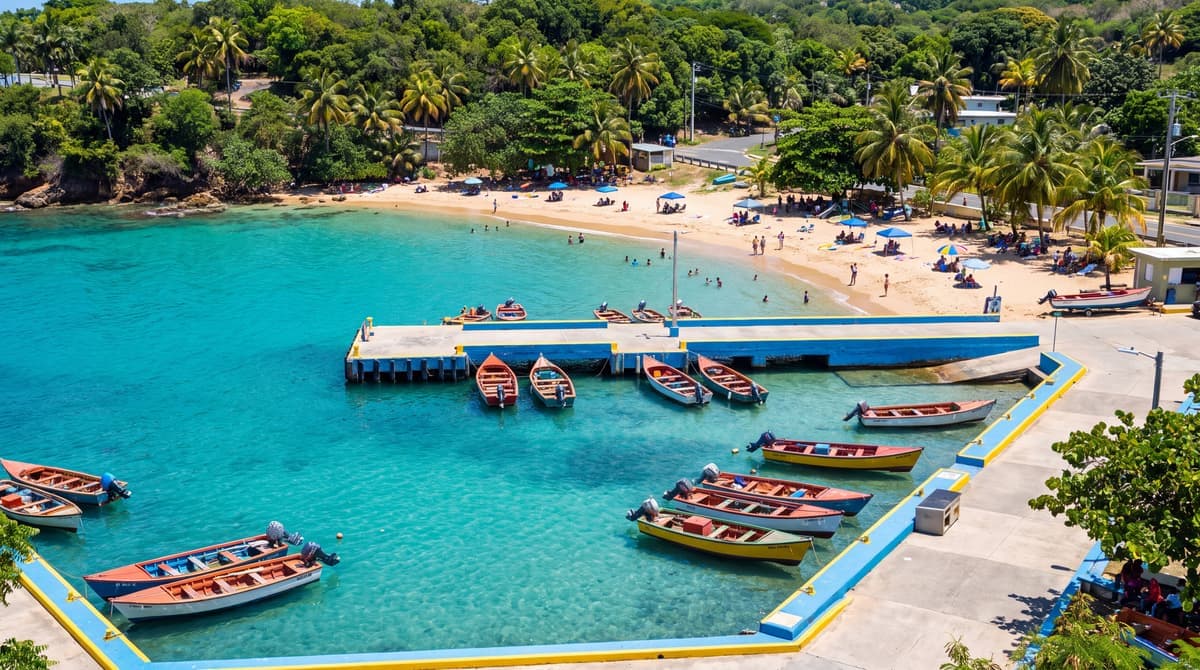 Sargassum in Puerto Rico: Which Beaches Stay Clear, and When to Go