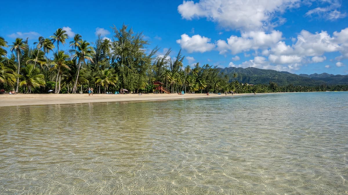 Puerto Rico With Kids: The Family Trip That Actually Works