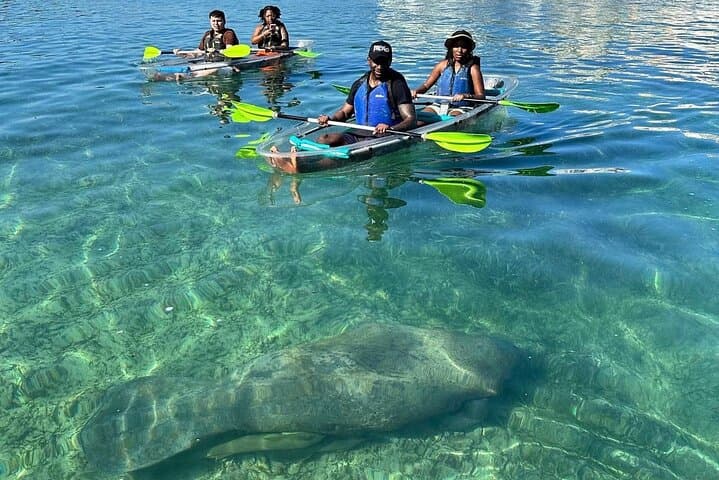 Clear Kayak Tour in Condado Lagoon, Condado, San Juan, Puerto Rico