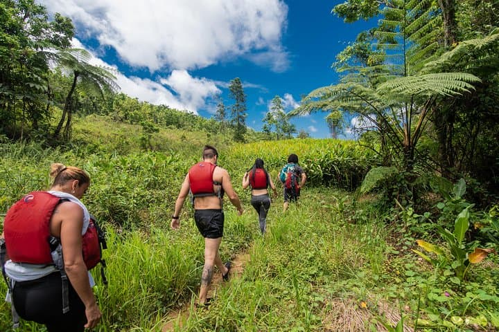 El Yunque Hike and Bio Bay Kayak Combo Tour