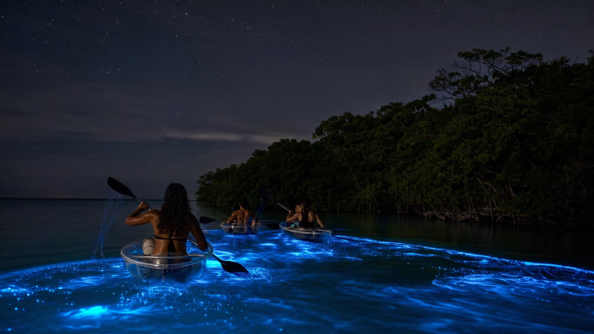 Bioluminescent Bay Kayak Trip from Vieques