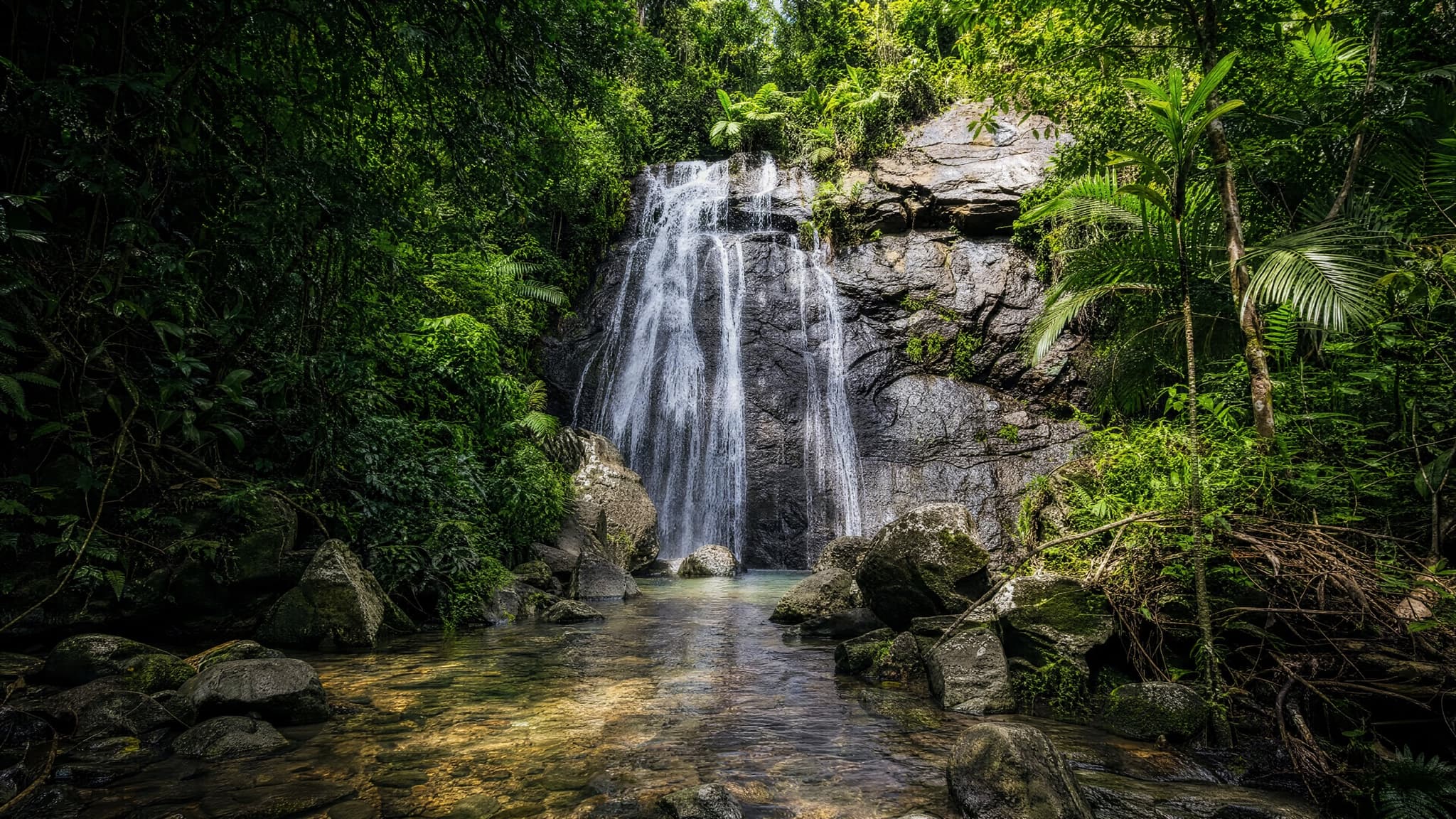 A waterfall inside El Yunque National Forest, the only tropical rainforest in the US National Forest System